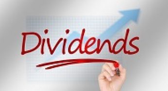 A Guide on Dividends in the Netherlands